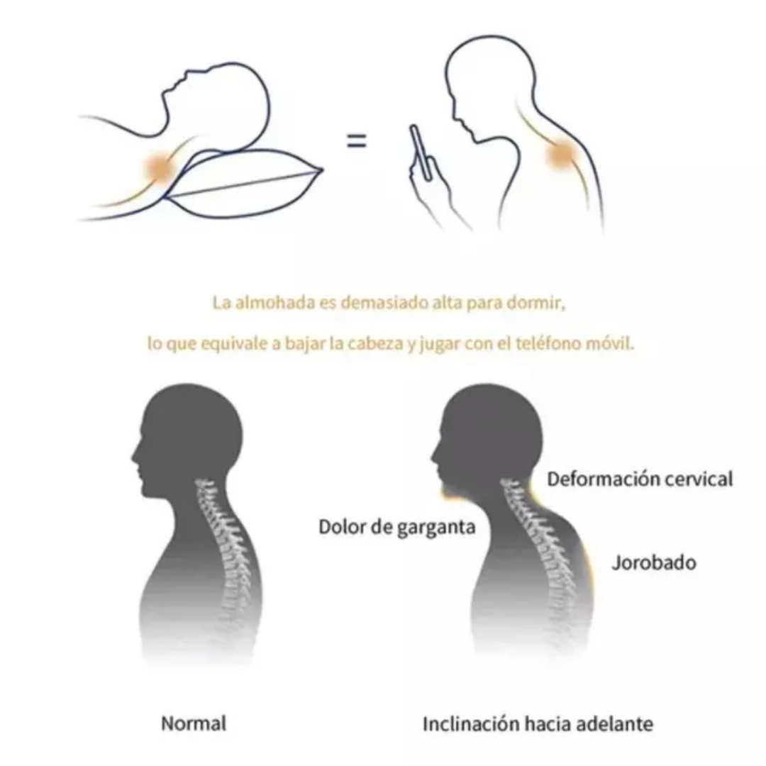 Almohada Cervical Ortopédica – Alivio del Dolor y Sueño Reparador