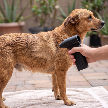 Soplador Turbo Jet secando el pelo de un perro recien banado